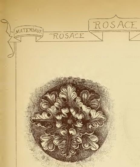 ROSETTE_0093